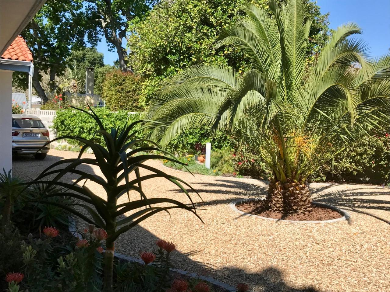 Ferienwohnung Grenadilla (Adults Only) Constantia Exterior foto